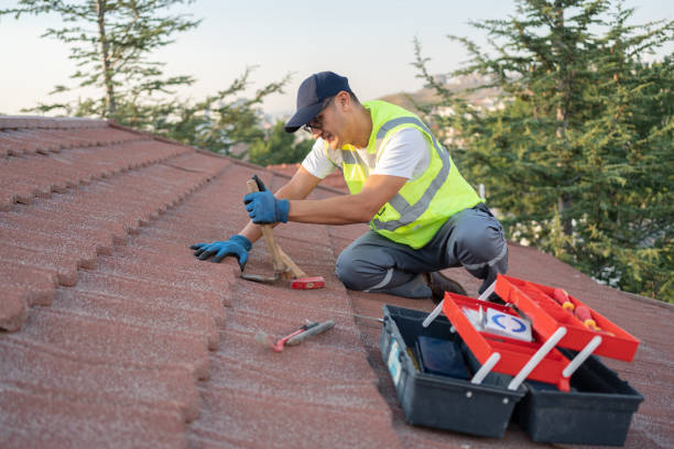 Best Roof Gutter Cleaning  in Farmington, PA